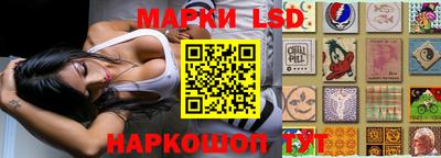spice Рязань