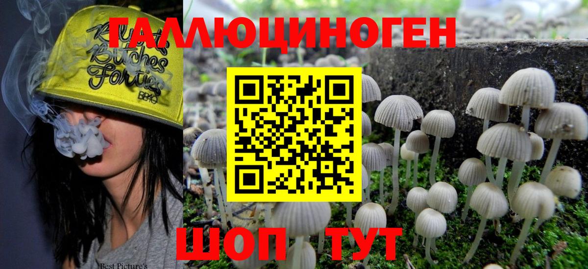 Галлюциногенные грибы мицелий  закладки  Советский  Вход с VPN 