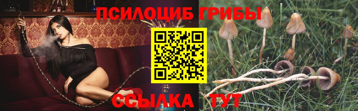 Псилоцибиновые грибы прущие грибы Советский